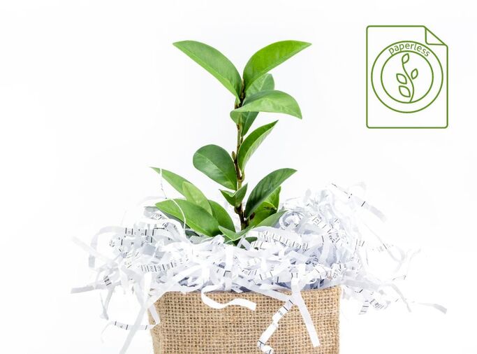 The Environmental Benefits of PDFs